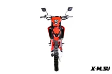 Кроссовый мотоцикл PROCIDA CRF PR300 (BNK-B19)