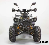 Квадроцикл GreenCamel Атакама T500 (60V 1500W R8 Дифференциал)