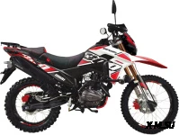 Мотоцикл RACER RC300-GY8B Bros