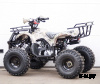 Квадроцикл STALKER 150